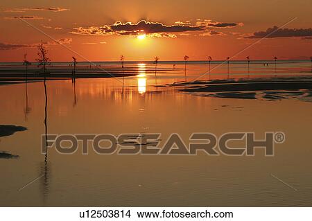 nature rock harbor sunset dawn cape cod orleans View Large Photo Image Picture - nature rock harbor sunset dawn cape cod orleans. Fotosearch