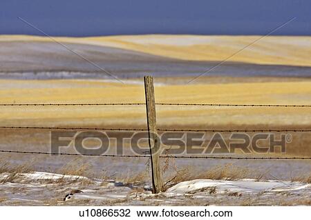 Stock Image -  nature winter in canada snow hills prairie hill. Fotosearch