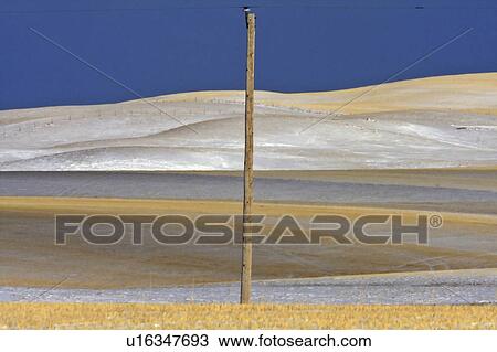Stock Image -  nature winter in canada snow hills prairie hill. Fotosearch