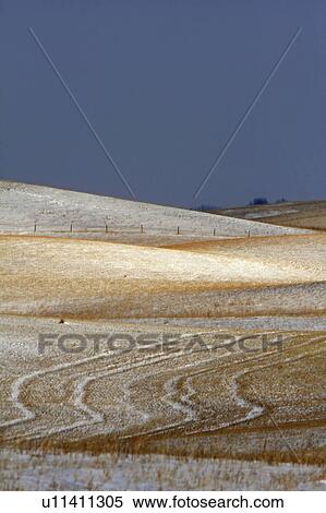 nature winter in canada snow hills prairie hill View Large Photo Image Stock Photography - nature winter in canada snow hills prairie hill. Fotosearch