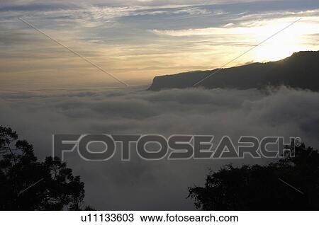 nature winter kodaikanal palani hills tamil nadu View Large Photo Image Stock Image - nature winter kodaikanal palani hills tamil nadu. Fotosearch
