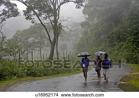 people misty high ranges central kerala dreamy View Large Photo Image Picture - people misty high ranges central kerala dreamy. Fotosearch