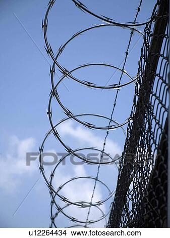 razor wire camp fences holocaust barbed View Large Photo Image Picture - razor wire camp fences holocaust barbed. Fotosearch