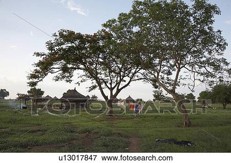 school south sudan rokwe leper colony edge juba View Large Photo Image Stock Photo - school south sudan rokwe leper colony edge juba . Fotosearch