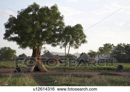 school south sudan rokwe leper colony edge juba  View Large Photo Image Stock Photograph -  school south sudan rokwe leper colony edge juba . Fotosearch