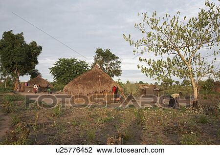Stock Image -  south sudan early morning scene farm homestead . Fotosearch