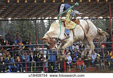 sport horse saddle bronc rider flying high View Large Photo Image Picture - sport horse saddle bronc rider flying high . Fotosearch