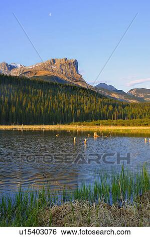 summer nature face vertical landscape image east View Large Photo Image Stock Photograph - summer nature face vertical landscape image east. Fotosearch