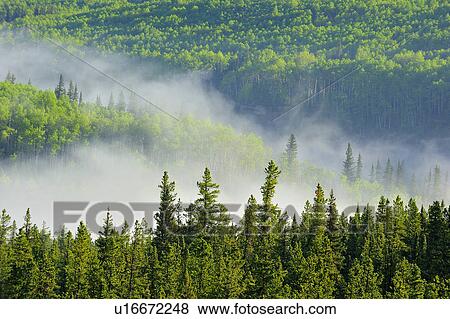 summer nature white mist rising flowing stream View Large Photo Image Stock Photo - summer nature white mist rising flowing stream. Fotosearch