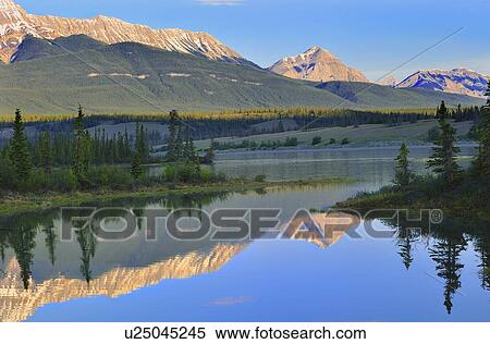 Stock Photography -  summer this landscape image made early one morning. Fotosearch