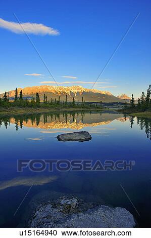 summer this vertical landscape image made early one morning View Large Photo Image Stock Image - summer this vertical landscape image made early one morning. Fotosearch