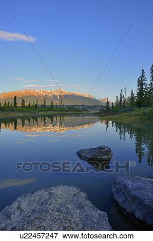 Stock Photo -  summer this vertical landscape image made early. Fotosearch
