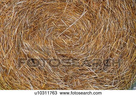 Stock Image -  texture close up image round bale harvested . Fotosearch