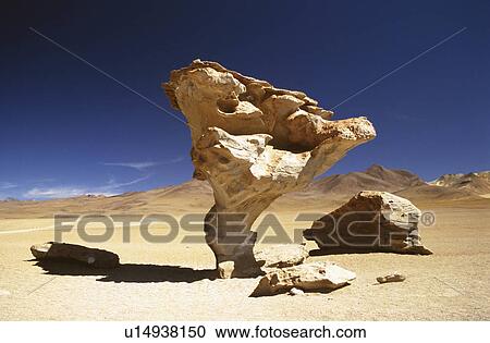 tree bolivia salt flats eroded stone horizontal View Large Photo Image Stock Image - tree bolivia salt flats eroded stone horizontal. Fotosearch
