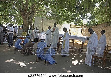 Picture -  tree south sudan saint josephs feast day may 1st . Fotosearch