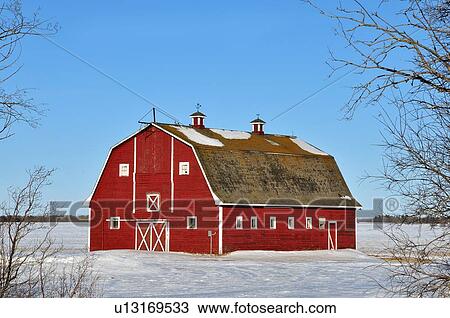 tree winter horozontal scenic red barn in rural View Large Photo Image Stock Image - tree winter horozontal scenic red barn in rural. Fotosearch