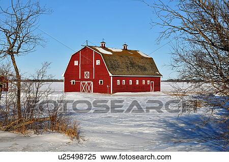 tree winter horozontal scenic red barn in rural View Large Photo Image Stock Photography - tree winter horozontal scenic red barn in rural. Fotosearch