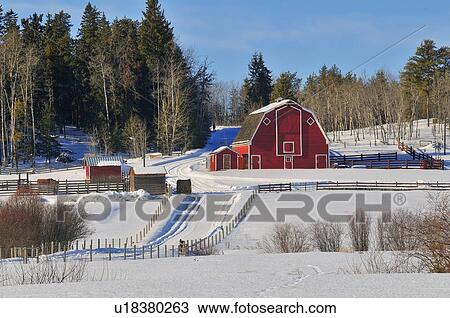 Stock Image -  tree winter scenic farm yard red barn snow trees. Fotosearch