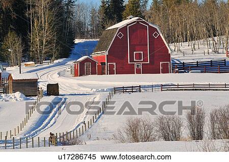 tree winter sun farm landscape image red barn View Large Photo Image Stock Photography - tree winter sun farm landscape image red barn. Fotosearch