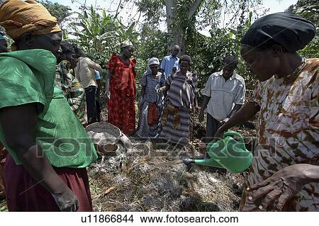 Picture -  uganda farmers group organized caritas learning . Fotosearch