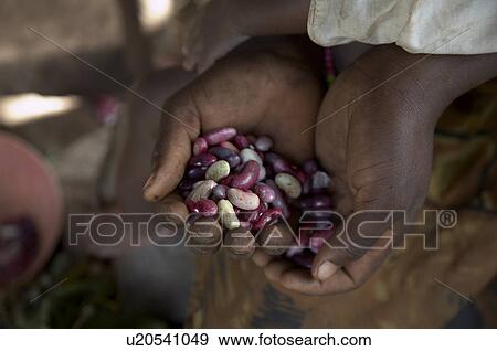 Stock Photo -  uganda young farmer nsubuga emmanuel 24 wife food. Fotosearch