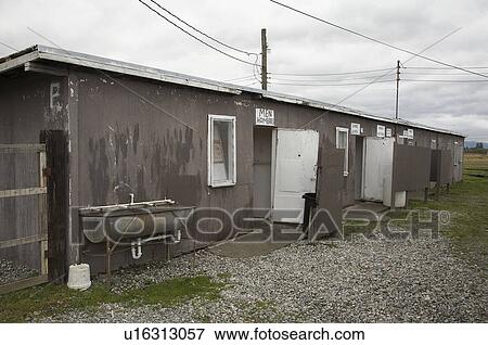 Stock Photo -  usa washington state community mexican migrant. Fotosearch