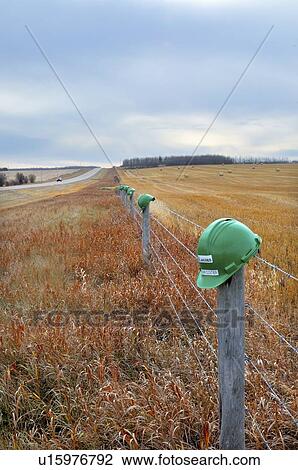 vertical landscape image showing workers hard View Large Photo Image Stock Image - vertical landscape image showing workers hard. Fotosearch