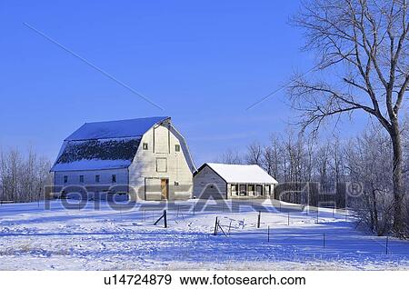 vintage winter horozontal scenic white barn farm View Large Photo Image Stock Photo - vintage winter horozontal scenic white barn farm. Fotosearch