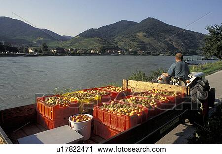 wachau lower austria non tourismus travel danube View Large Photo Image Stock Image - wachau lower austria non tourismus travel danube. Fotosearch