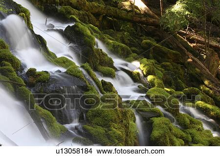 water clearwater falls oregon southern moss pool View Large Photo Image Picture - water clearwater falls oregon southern moss pool. Fotosearch