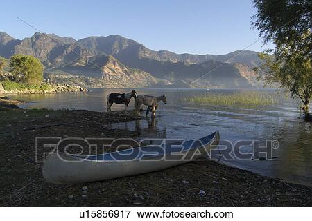Stock Photo -  water guatemala lake atitlan horses central water. Fotosearch