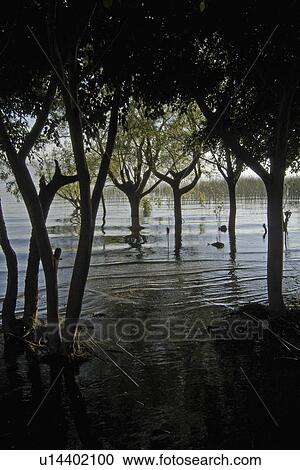 Stock Image -  water guatemala lake atitlan seen san pedro la . Fotosearch