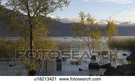 water guatemala lake atitlan seen san pedro water View Large Photo Image Stock Image - water guatemala lake atitlan seen san pedro water. Fotosearch