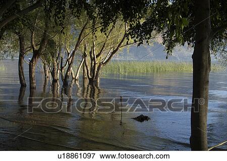 Stock Photo -  water guatemala lake atitlan seen san pedro la . Fotosearch
