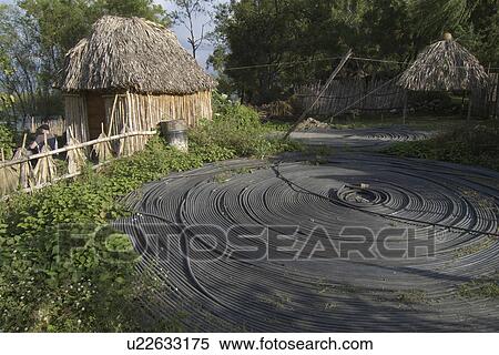 water guatemala san pedro la laguna lake atitlan View Large Photo Image Stock Photography - water guatemala san pedro la laguna lake atitlan . Fotosearch