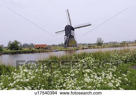 Picture -  water kinderdijk holland windmills unesco list. Fotosearch