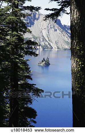 Stock Image -  water looking through trees crater lake phantom. Fotosearch