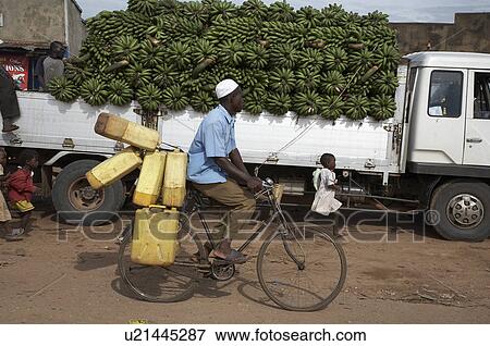 water man uganda truck bananas carrying bicycle View Large Photo Image Stock Photo - water man uganda truck bananas carrying bicycle . Fotosearch