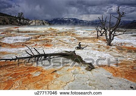 Stock Photograph - water may national park wyoming usa mammoth. Fotosearch