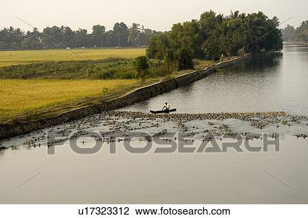 water nature kuttanad backwater canals alappuzha View Large Photo Image Stock Image - water nature kuttanad backwater canals alappuzha. Fotosearch