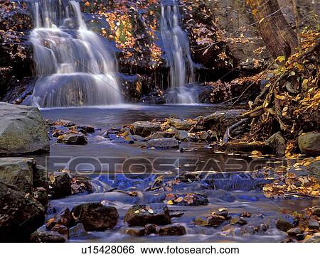 water nature leaf fall foliage around waterfall View Large Photo Image Stock Photograph - water nature leaf fall foliage around waterfall. Fotosearch