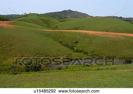 water nature vagamon idukki dist pools hilly View Large Photo Image Stock Image - water nature vagamon idukki dist pools hilly. Fotosearch