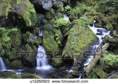 Stock Image -  water small falls watson creek oregon usa log. Fotosearch