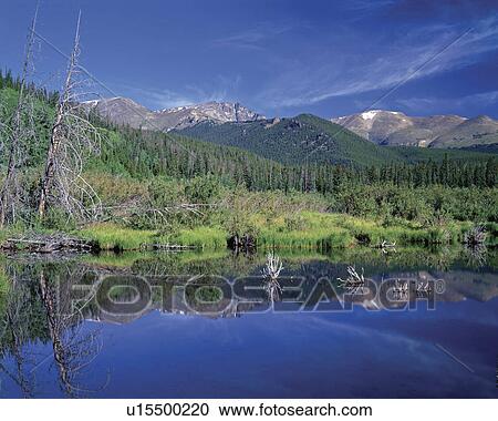Stock Image -  water summer beaver pond hidden valley creek day. Fotosearch