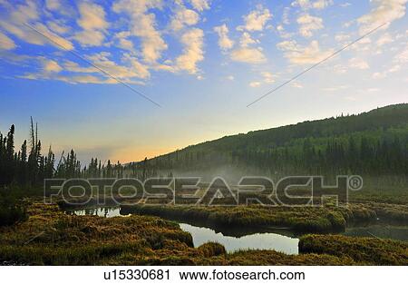 Stock Image -  water summer nature this morning landscape . Fotosearch