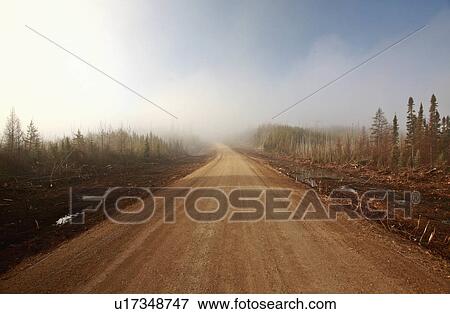 Stock Photo -  water summer spring nature sun misty morning . Fotosearch