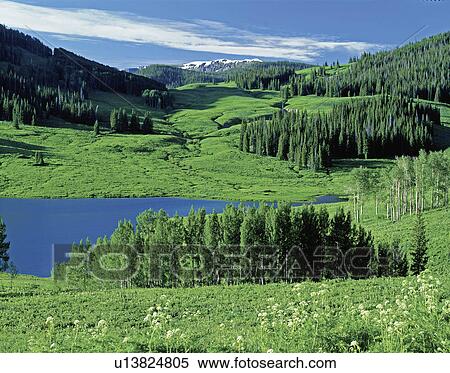 Stock Photography -  water summer spring paints high mountain meadows. Fotosearch