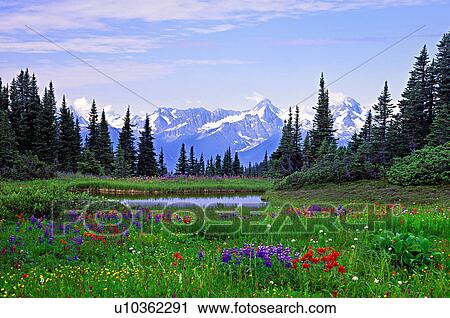 water summer this mountain scenic View Large Photo Image Stock Image - water summer this mountain scenic . Fotosearch
