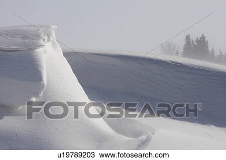 Stock Image -  water tree nature winter snow bank in storm cold. Fotosearch