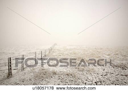 Stock Photo -  winter ice fog in snow dead grass barbed wire. Fotosearch